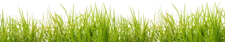 240_F_138027847_oJcc63bz0XCmodE61at9lcN2c0YcjBOO